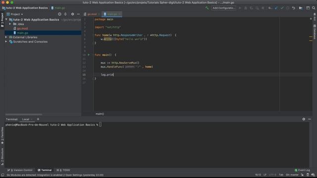 tuto -2 Go/Golang (Web Application Basics) handler + router  + http server