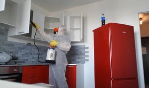 Уничтожение тараканов, обработка квартиры от тараканов