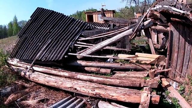 Ветром разнесло старый сарай и немного о клубнике..