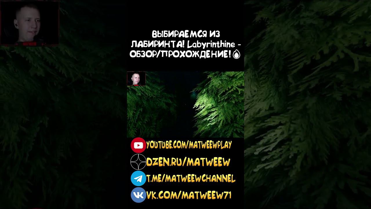 ВЫБИРАЕМСЯ ИЗ ЛАБИРИНТА! Labyrinthine - ОБЗОР/ПРОХОЖДЕНИЕ!