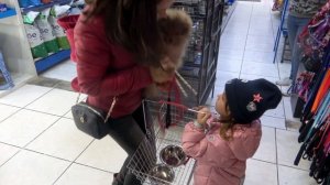 ?ПОКУПКИ (ПЕТШОП) в ЗООМАГАЗИНЕ для щенка померанского шпица, Миссия НЕВЫПОЛНИМА, на канале Рони По