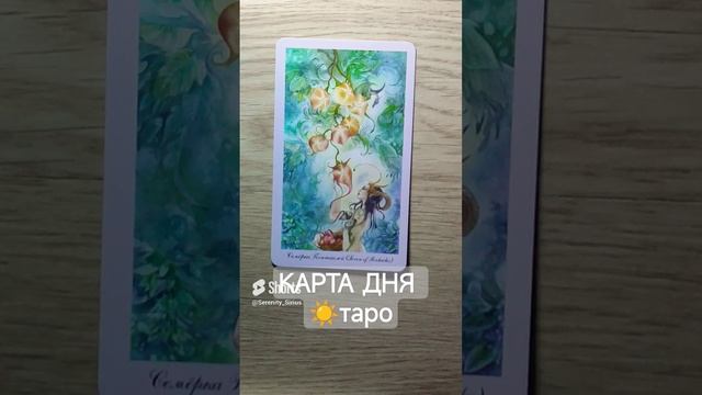 КАРТА ДНЯ ☀таро