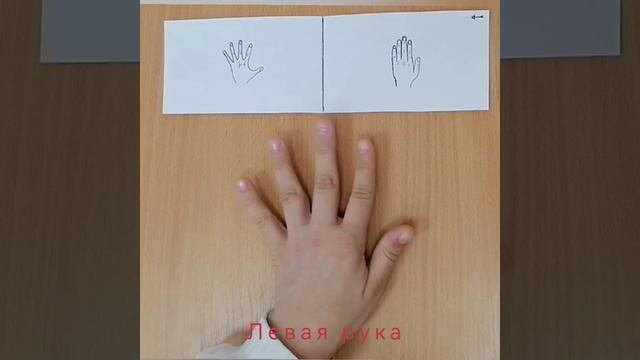 Нейромоторика для детей и взрослых