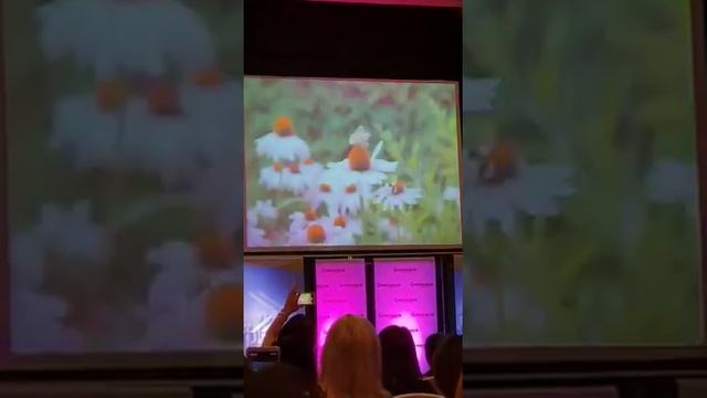 Гринвей.Новинка спрей Biotrim. смотреть онлайн