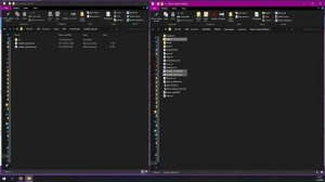 Install SKSE 2023 | How To Guide | MO2 & Vortex