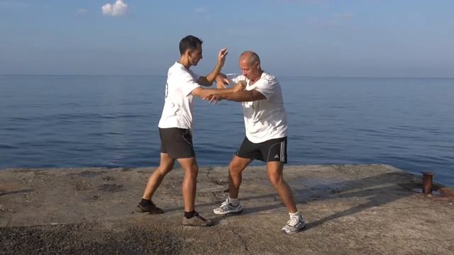 Ицюань Туйшоу-2015 11. Шаг за шагом. Отработка ударов в Туйшоу