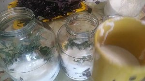 Компот с БАЗИЛИКОМ и с добавлением МЯТЫ и лимона.Заморозила на зиму.