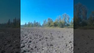 Stels Dinli (Стелс Динли) без стабилизатора поперечной устойчивости.