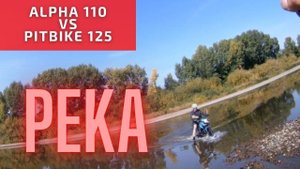 Альфа 110 и Питбайк 125 через реку
