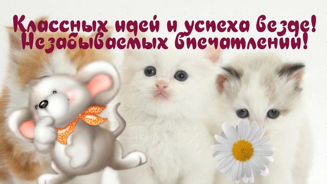 Ты поступай сегодня мудро!   анимационное видео смотреть онлайн