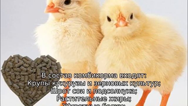 Корм Пурина для бройлеров