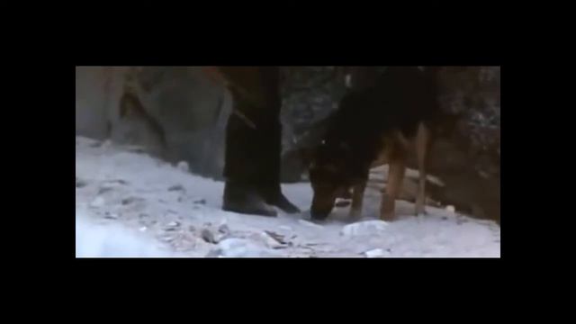 ПОГРАНИЧНАЯ СТРОГОСТЬ.