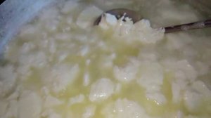 Домашний творог из обрата