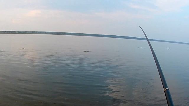 Маховая удочка 8м с алиэкспресс, обзор, тест и рыбалка часть 1