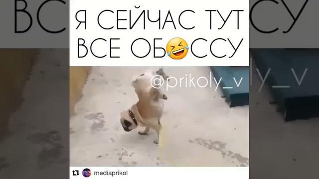 Засыха😂😂