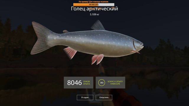 Русская рыбалка 4 Оз.Куори/Острог Спиннинг (Фарм,Общение) #23 смотреть онлайн