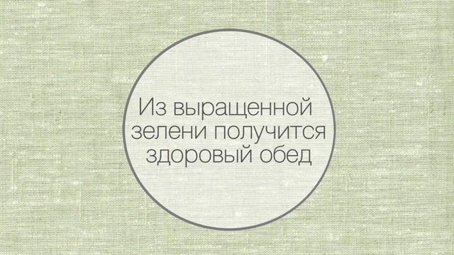 Обед на подоконнике