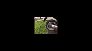 HONDA VFR 1200 SOUND COMPILATION