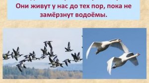 Осенние изменения в природе