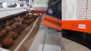 Сухая чистка свеклы и картофеля (видео)