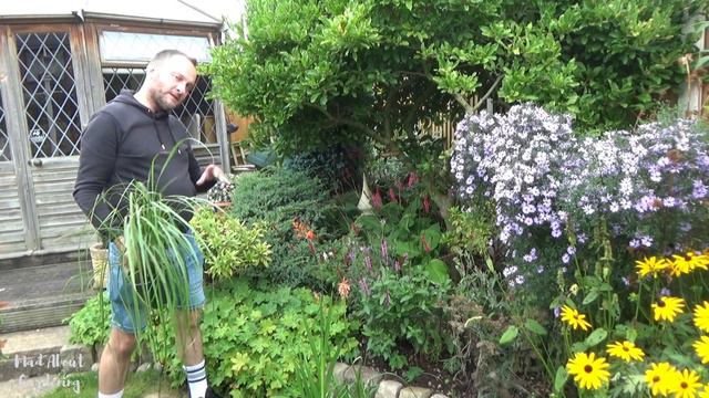 Making Changes to an Existing Border | Planting Design | Adding New Plants | Gardening Tips смотреть онлайн