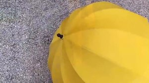 Зонтик-шлем детский