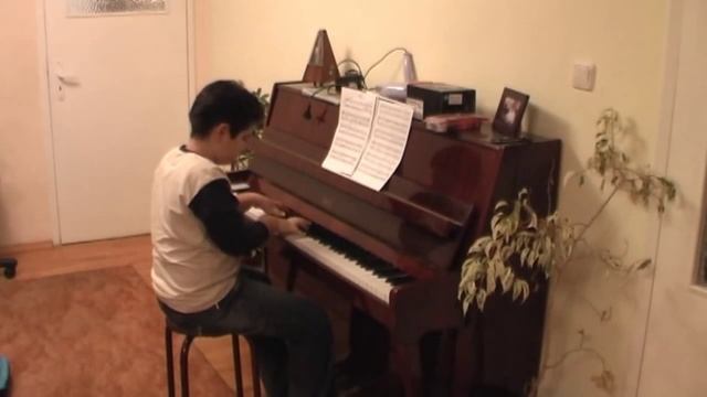 Tales from the Vienna Woods (Piano) - Johann Strauss смотреть онлайн