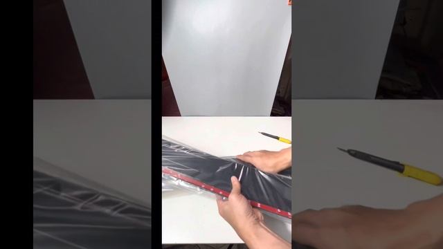 Toyota Raize WindowDoor Visor