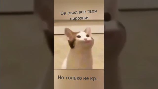 #мем #он съел все твои пирожки #ржач #крик