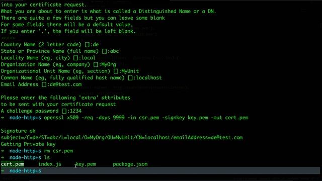 Enable HTTPS in LOCALHOST with OpenSSL for a NodeJS app ? смотреть онлайн