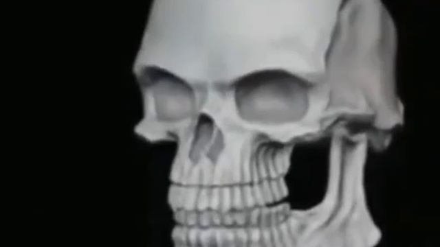 The Great Smiley War of 2017 & The Origin Of The Free Smiley Free Smiley Lore Wi