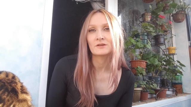 НОВАЯ КОШКА. Дворянка со двора смотреть онлайн