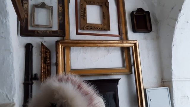 22 ноября 2022 г.г.Муром Свято троицкий женский монастырь мощи Святые Пётр и Февронии. смотреть онлайн