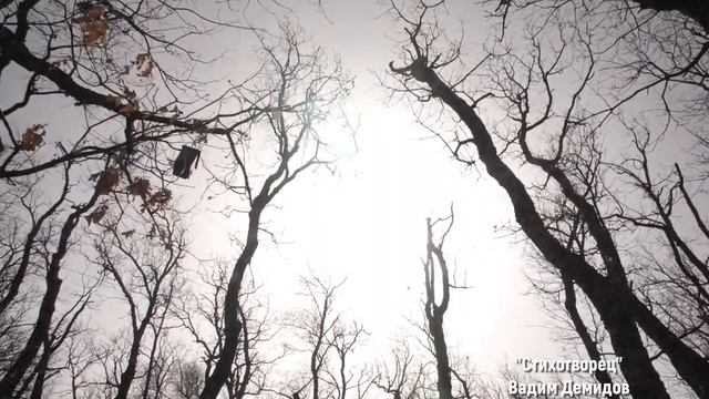 Предатель / Ищите врагов средь неверных друзей смотреть онлайн