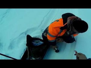 Зимний хариус на лесной речке День третий