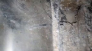 Ремонт стиральной машины SAMSUNG DIAMOND 6 0 kg WF8590NMW8 часть 2