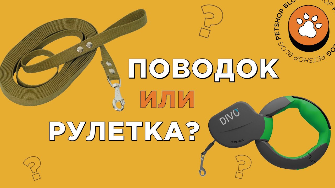 Какую Рулетку Для Собаки Лучше Купить