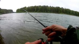 На Бию за тайменем. И снова небольшой.