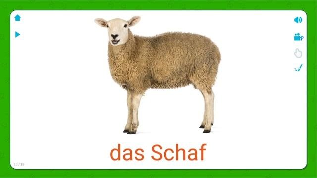 Haustiere / Bildung für Kinder / Учим Животных на НЕМЕЦКОМ языке / Zeichentrickfilme für Kinder