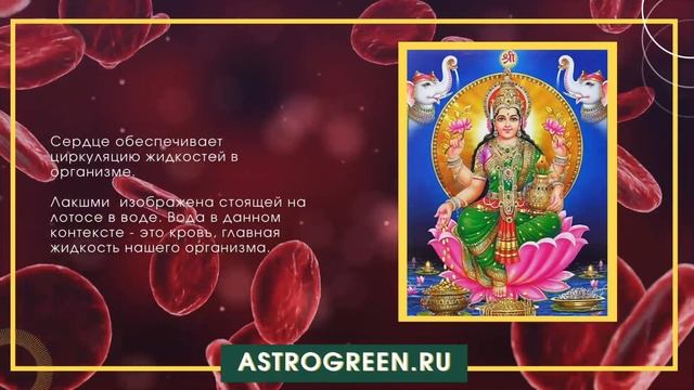 Лакшми в медицинской астрологии. Тони Нейдер | Astrogreen