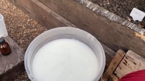 ВАЖНАЯ ПОДКОРМКА ОГУРЦАМ ДЛЯ РОСТА И ЗАВЯЗИ!