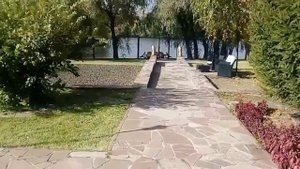 Коттедж на берегу Волги