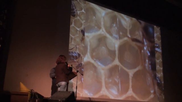 Опыт работы с пчелами породы Бакфаст ( Мариуш Хохула) смотреть онлайн