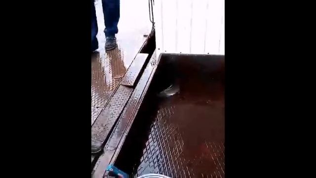 Форелевое хозяйство | Рецепт посола форели от мамы Шуры