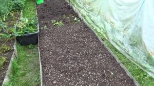 Готовим грядки после клубники под будущие посадки. Кострома.