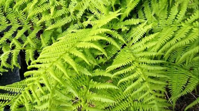 музыка для сна  прекрасная музыка для релаксации музыка для отдыха музыка для расслабления