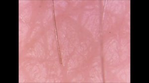 ЭЛЕКТРОННЫЙ МИКРОСКОП с АлиЭкспресс. Еда и ткань под микроскопом