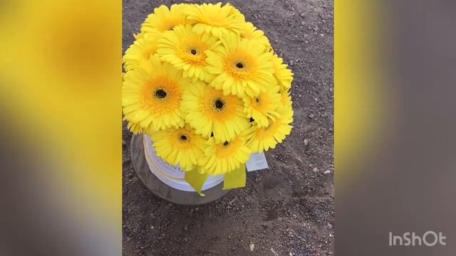 Букет гербер в шляпной коробке размера S