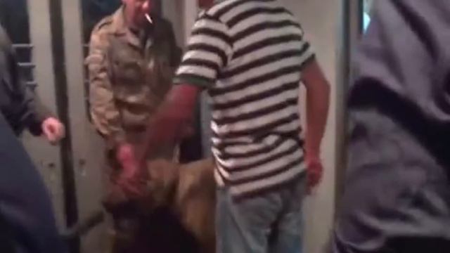 Бомж в электричке смотреть онлайн