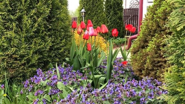 Если: небольшой участок и маленький домик3х6 🏡 Как оформить, как разместить.